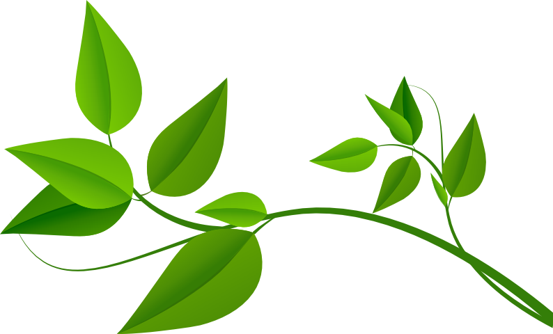 Leaf decoration