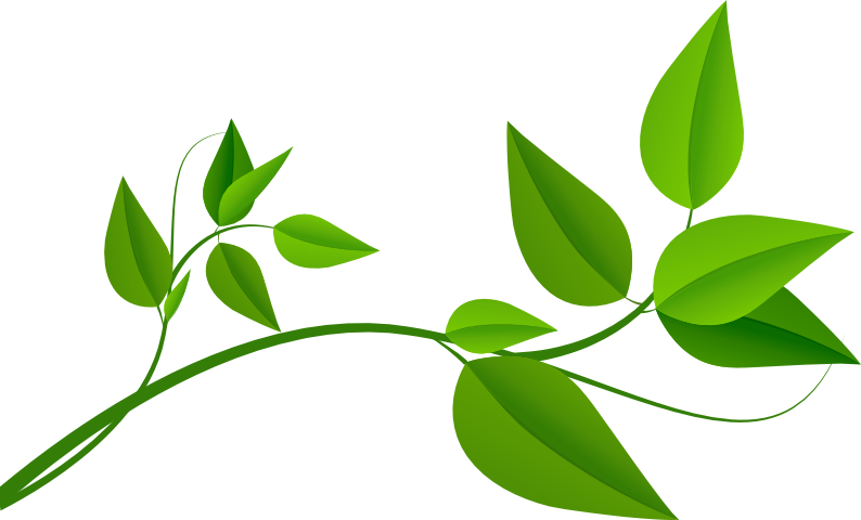 Leaf decoration